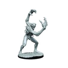 Critical Role Unpainted Minis: W1 Aeorian Nullifier