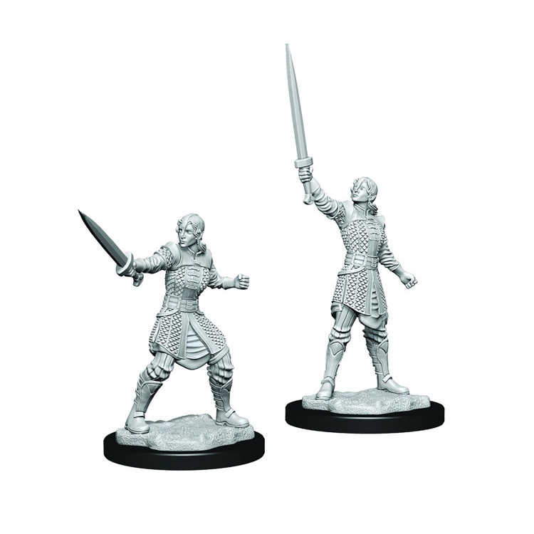 Critical Role Unpainted Minis: W1 Human Dwendalian Empire Fighter ...