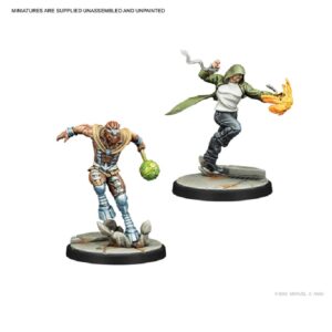 Marvel Crisis Protocol Inhumans Royal Court Miniatures 2