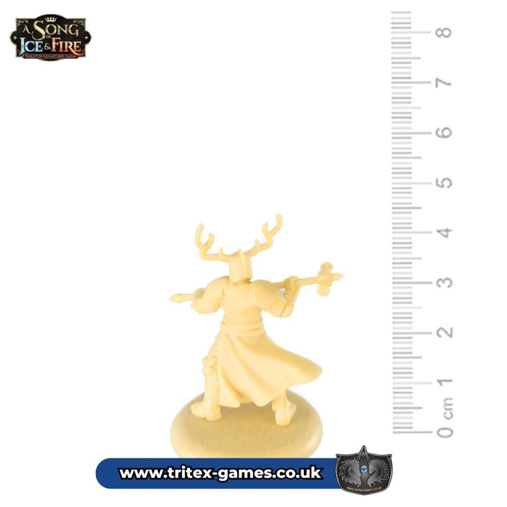 SoIF Unpainted Miniature- Stag Knights